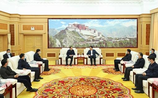 全面贯彻新时代党的治藏方略 为建设美丽幸福西藏贡献力量