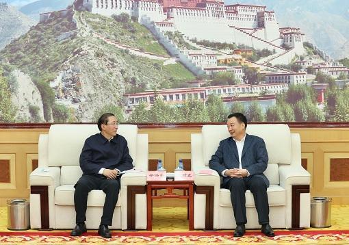 全面贯彻新时代党的治藏方略 为建设美丽幸福西藏贡献力量