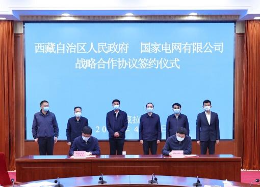 全面贯彻新时代党的治藏方略 为建设美丽幸福西藏贡献力量