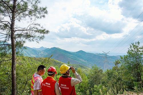 迎峰度夏保供电 | 政企联动防山火 守护大电网安全