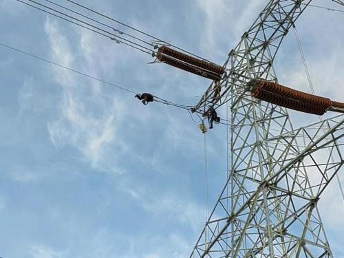 迎峰度冬保供电｜加快工程建设 保障电力供应