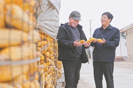新春走基层丨新年新面貌 点亮好生活