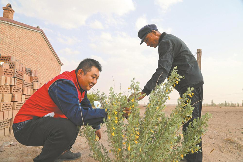 保护生物多样性 建设绿色电网