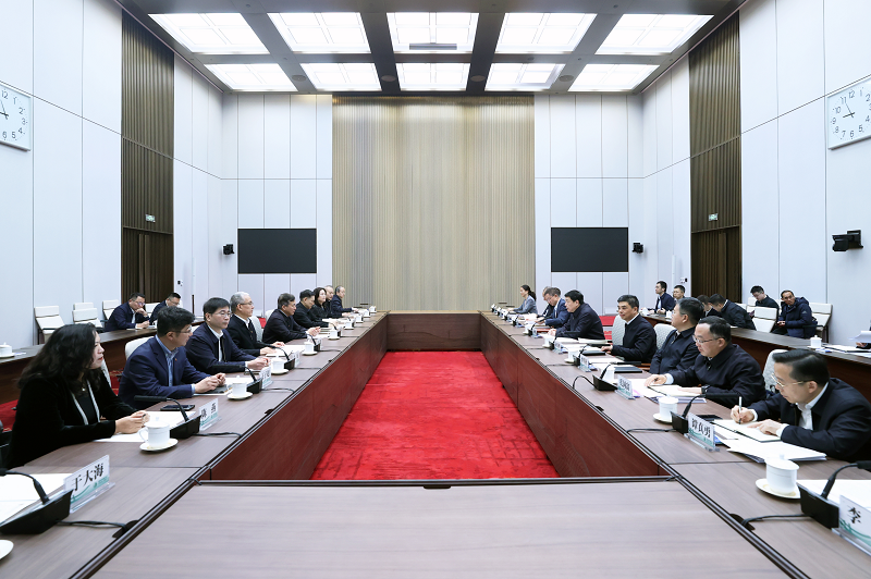 国家电网与国家电投集团举行会谈