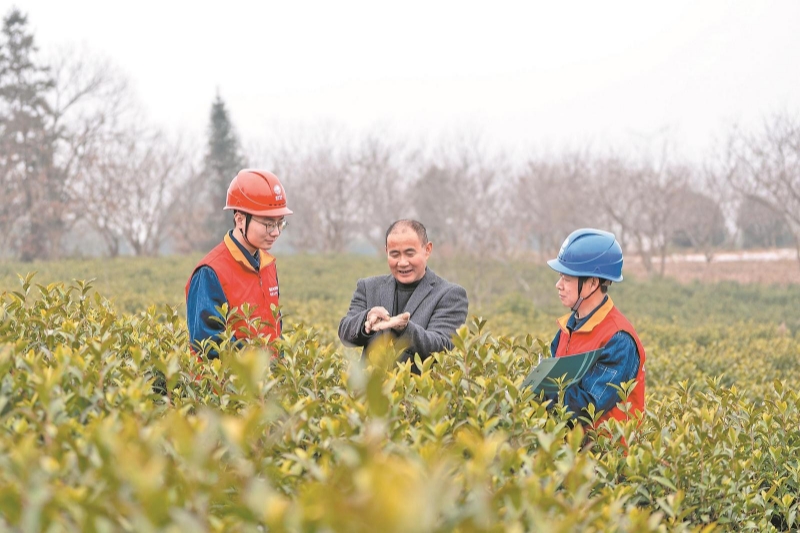 两会新声｜代表委员热议电力赋能乡村全面振兴