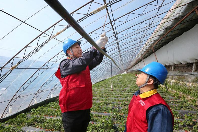 学习贯彻全国两会精神｜电靓和美乡村