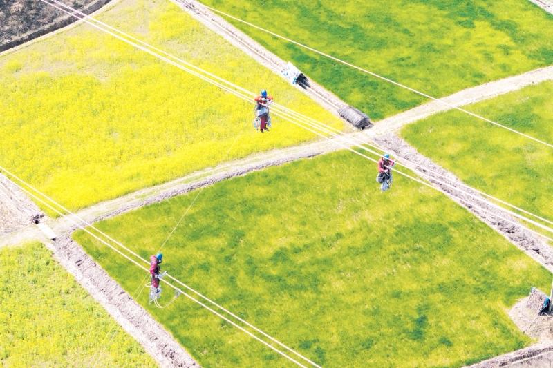 国家电网加快140项迎峰度夏重点工程建设