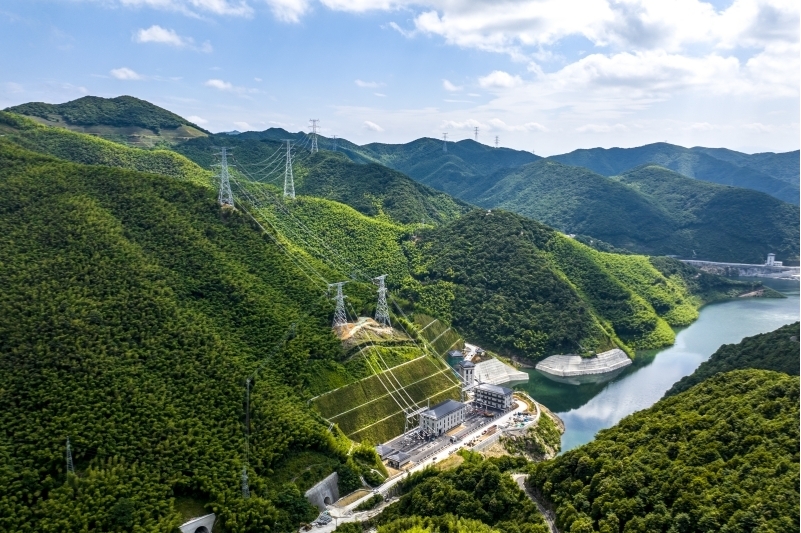 公司积极扩大有效投资加快重大项目建设