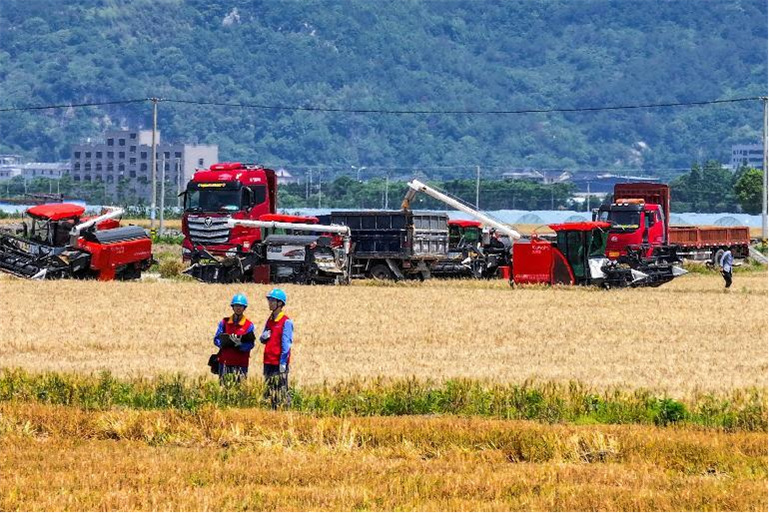 节日我在岗｜电送田间护航夏收