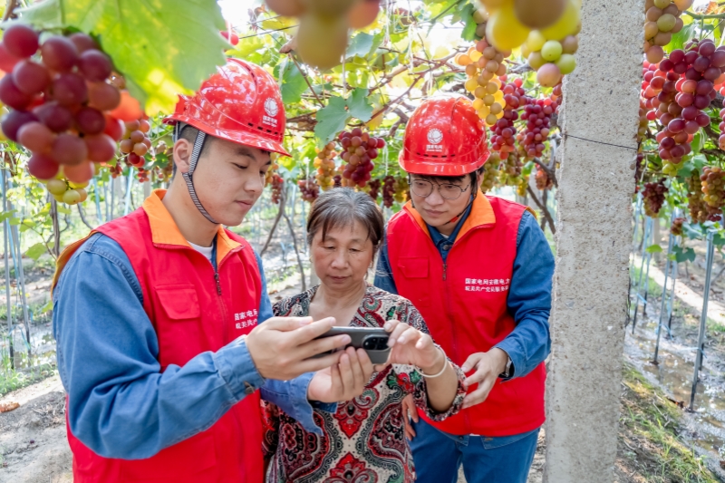 全国科普月：安全节能 电亮美好生活