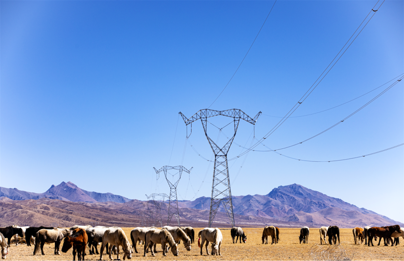 藏东南至粤港澳大湾区±800千伏特高压直流输电工程启动建设