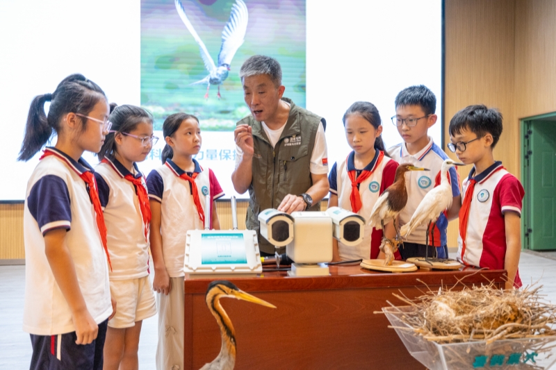 全国科普月：电力科普走进大众