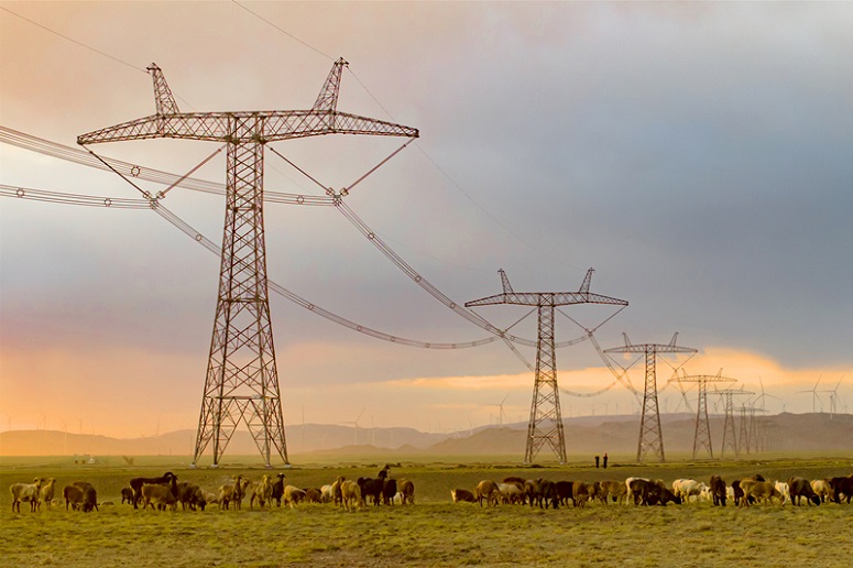 共绘天山南北光明画卷