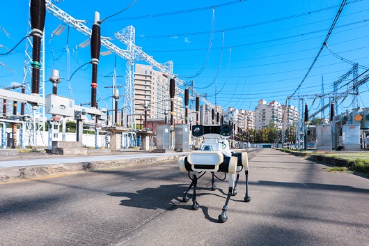 国家电网圆满完成第八届中国国际进口博览会保电任务