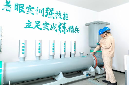 “十四五”国家电网发展成效②：企业治理固本增效