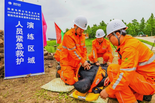 “十四五”国家电网发展成效②：企业治理固本增效