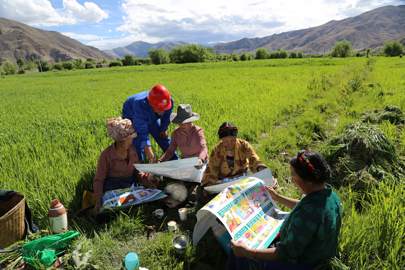 共筑雪域高原光明路——国家电网公司全力服务西藏经济社会高质量发展