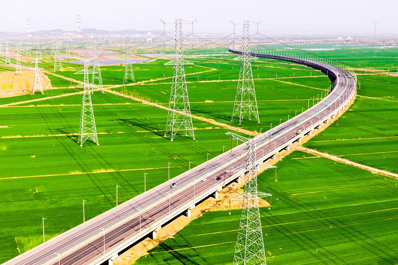 “十四五”国家电网发展成效？：高水平法治护航高质量发展