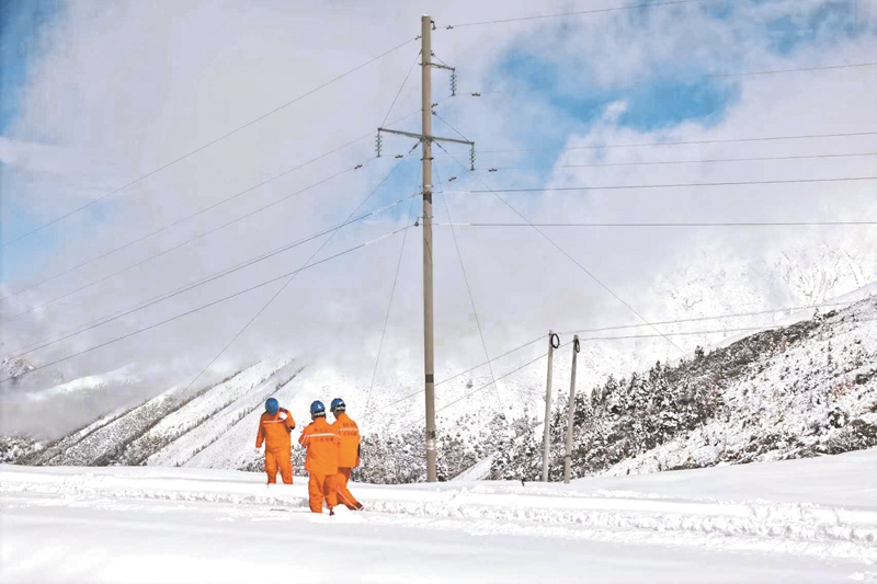 “十四五”国家电网发展成效？：高水平法治护航高质量发展