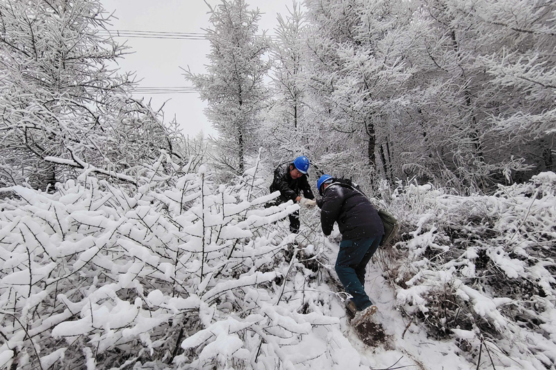 战寒潮抗冰雪保供电